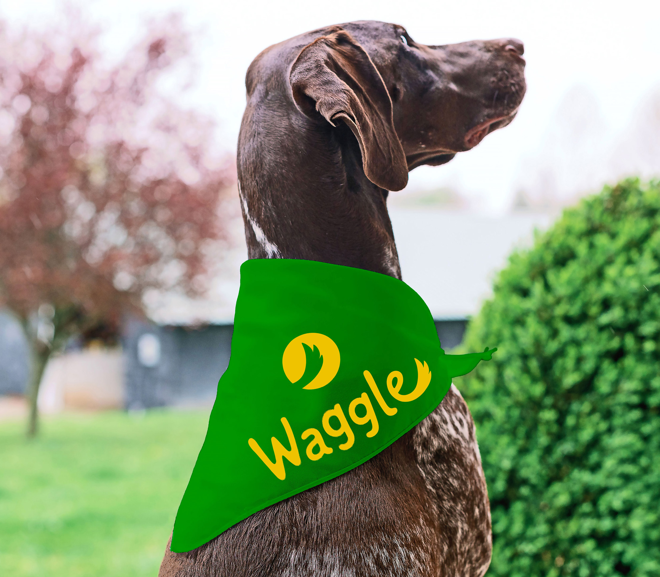 Waggle Logo Example 3